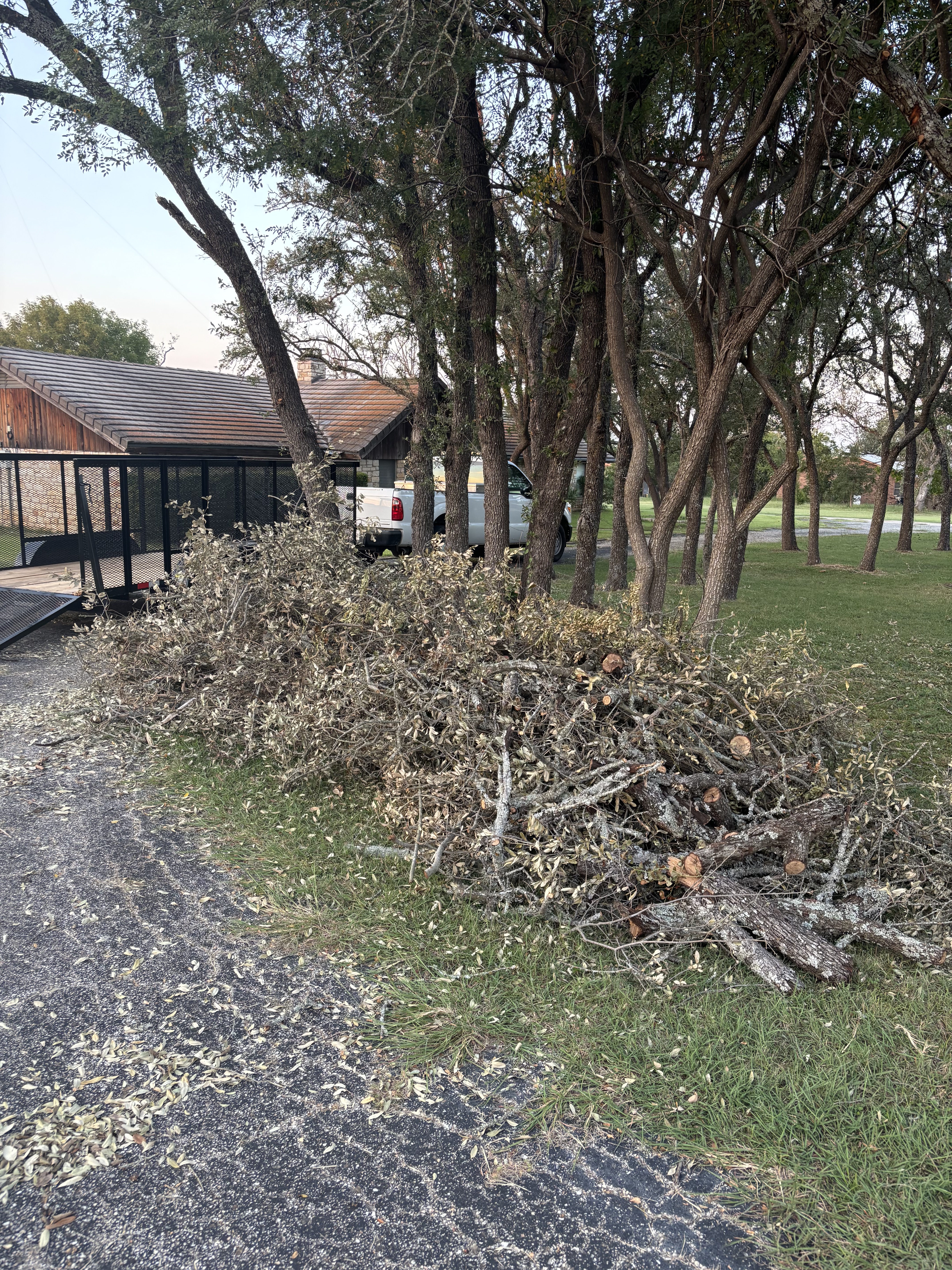 Before: yard waste pile cleared in Seattle